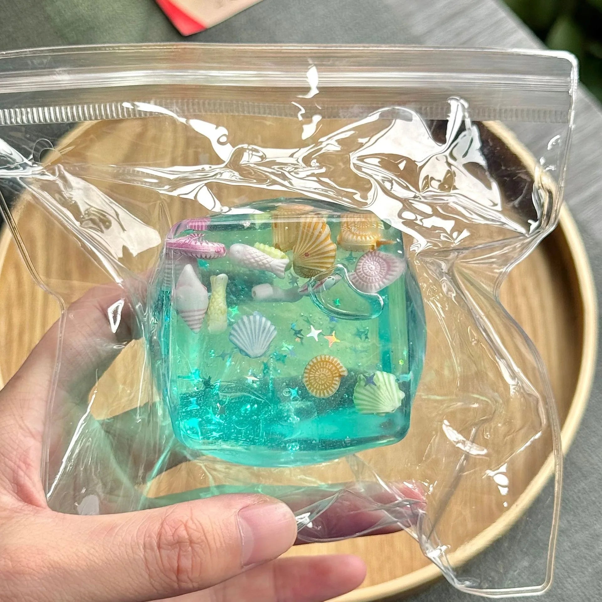Ocean Shell Squishy