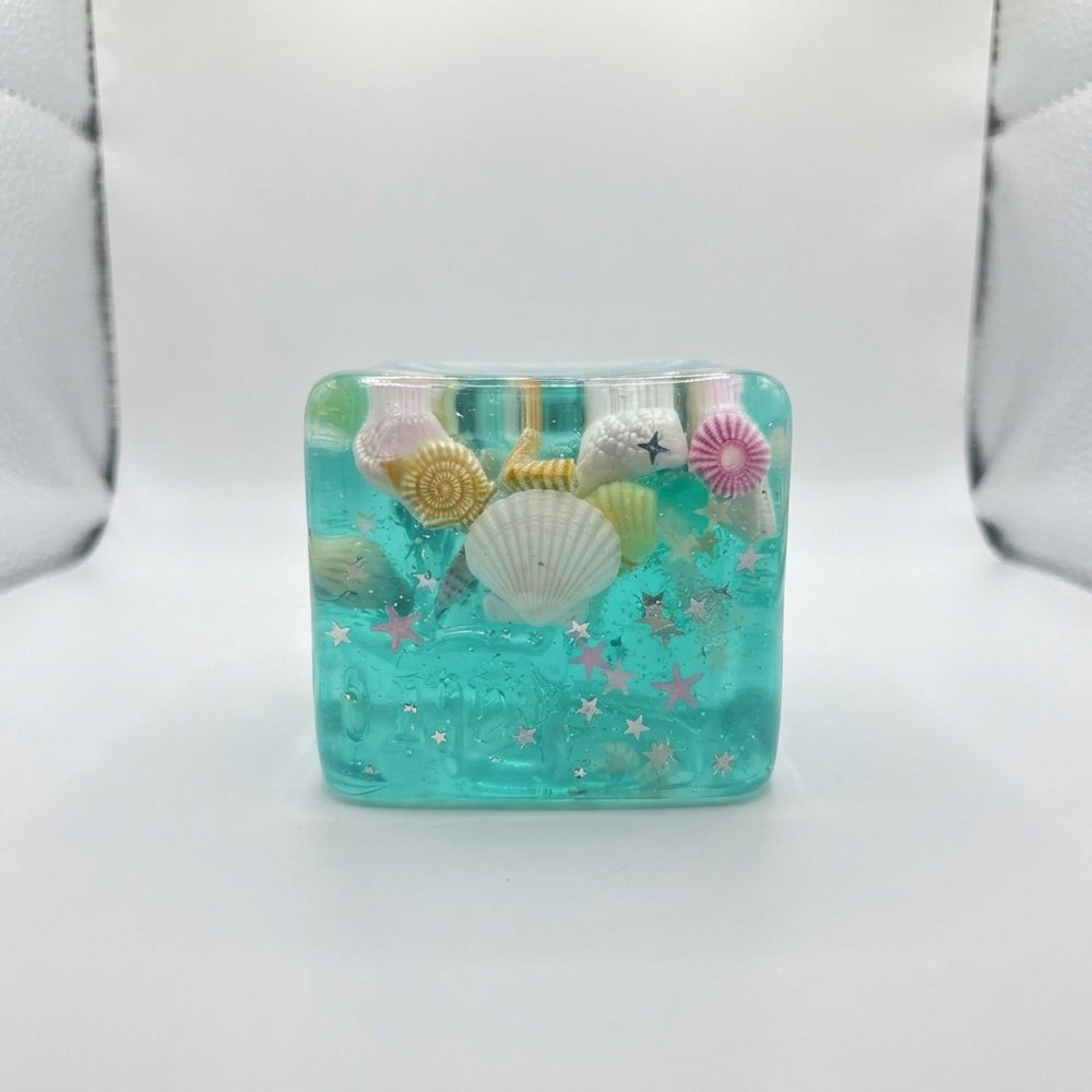 Ocean Shell Squishy