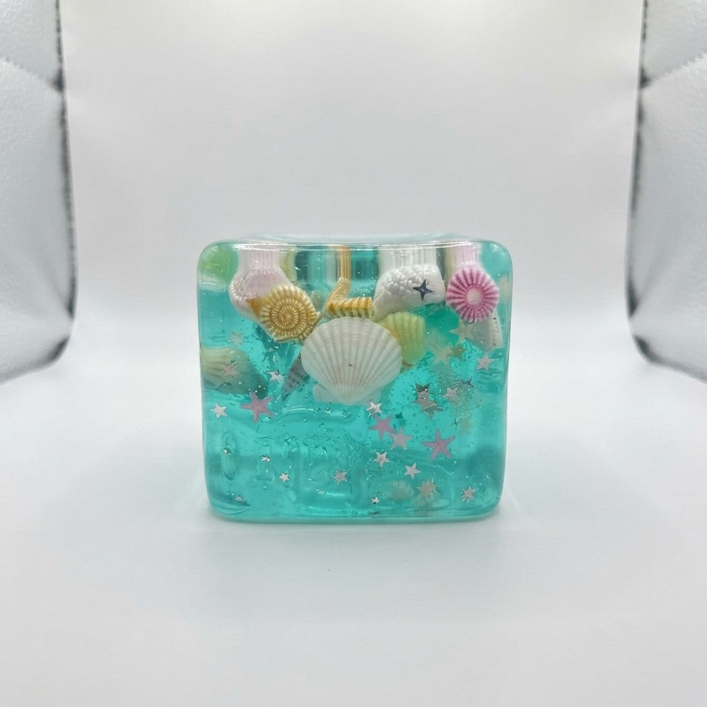 Ocean Shell Squishy